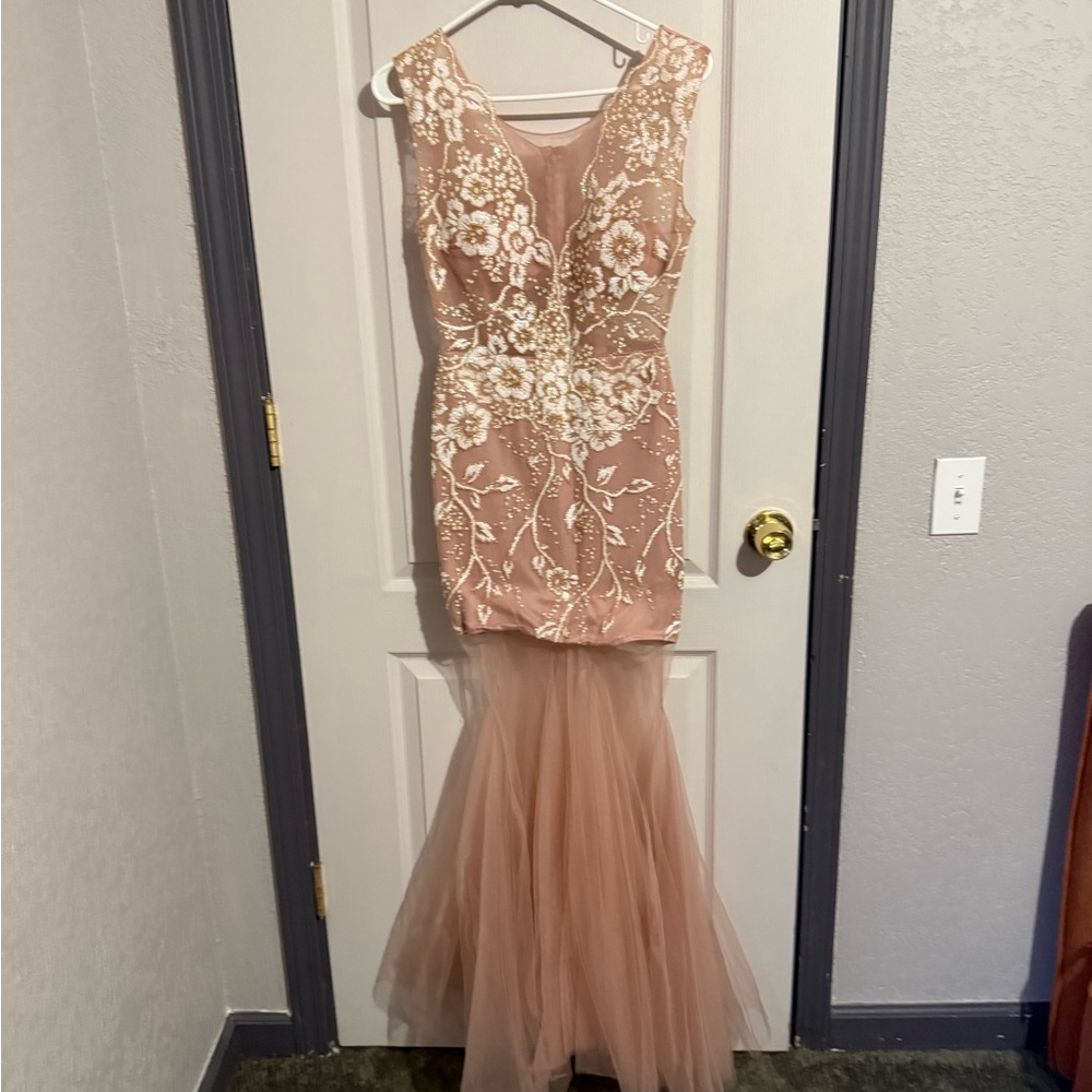 Elegant Lace Embellished Evening Gown
